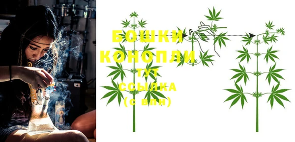 дмт Надым