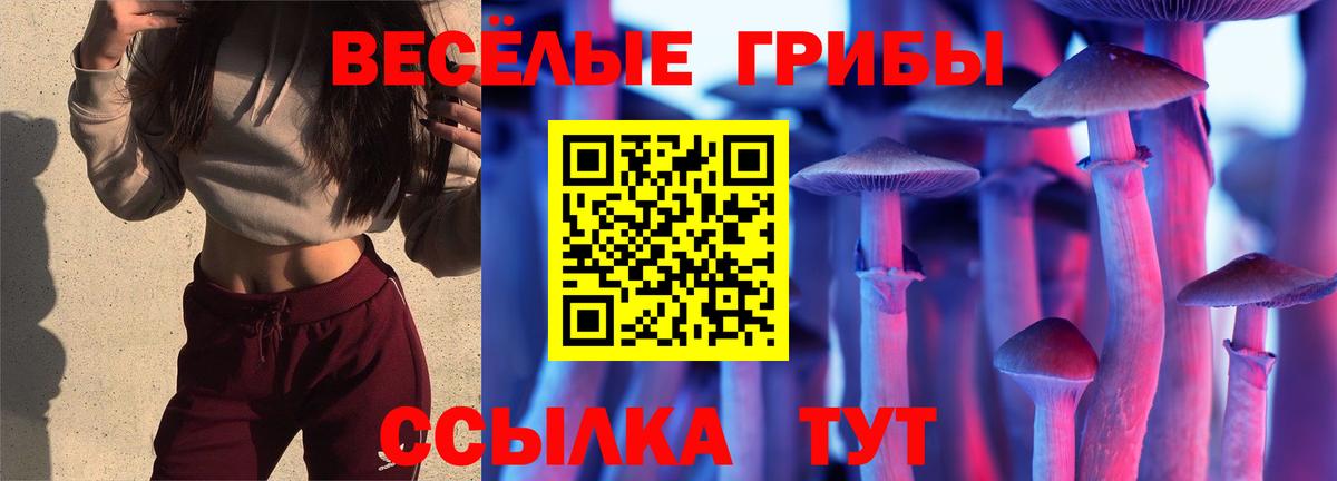 Галлюциногенные грибы Cubensis  цены   Тольятти  Вход с VPN 