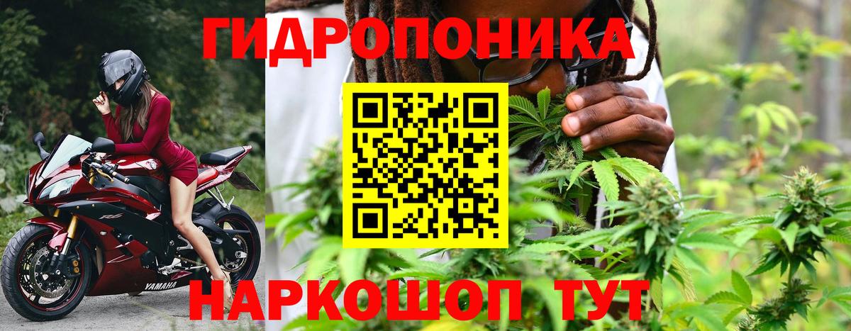 Марихуана AK-47  Каннабис White Widow  Канабис план  Вход с VPN  Тольятти  Шишки марихуана ГИДРОПОН 